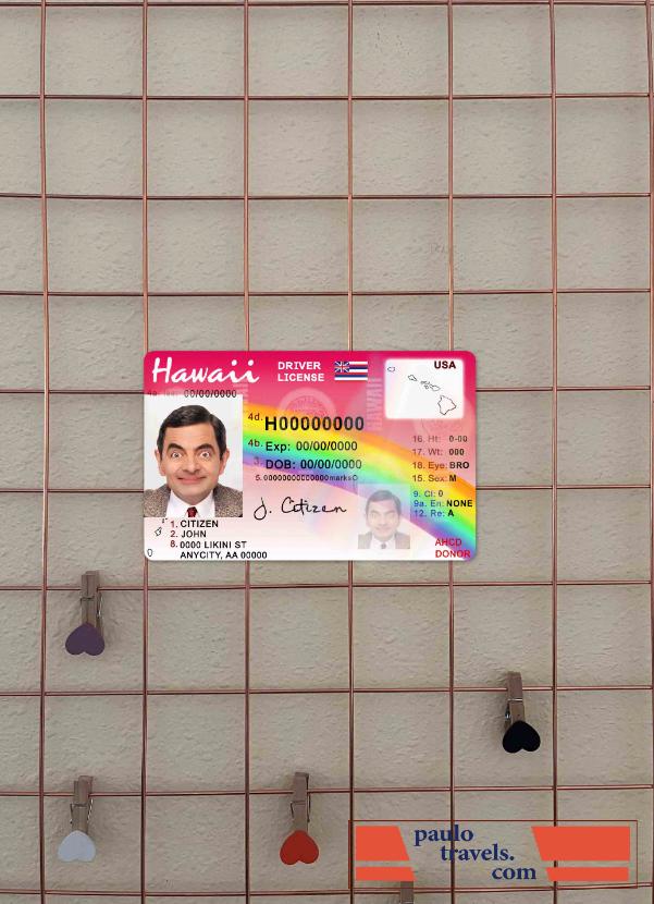 Hawaii DL photolook FRONT PSD template